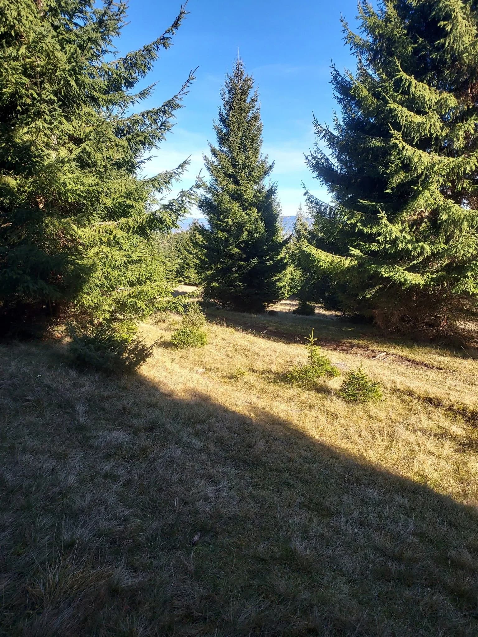 A természet csendje...