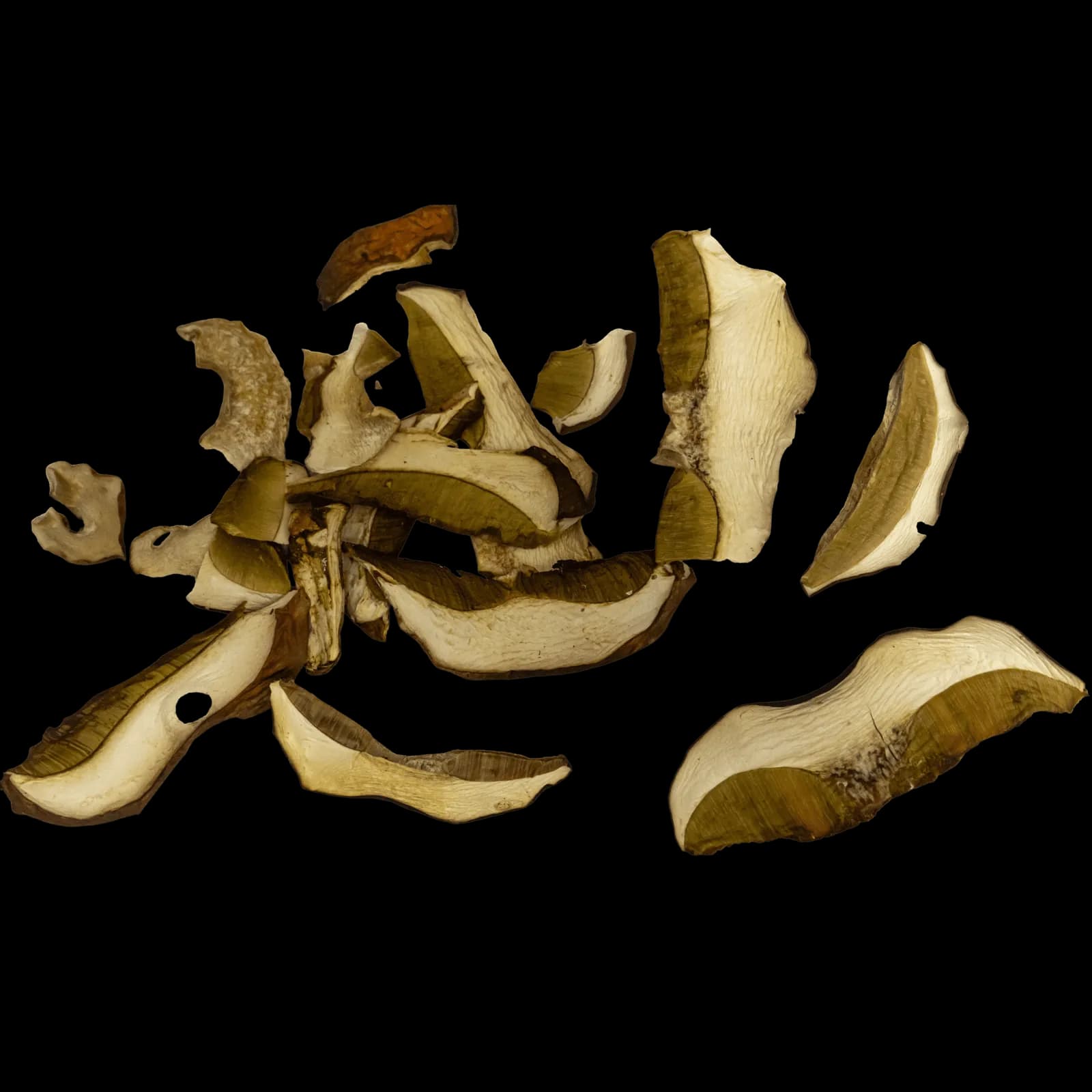 100% Szárított Vargánya (Boletus edulis) 4